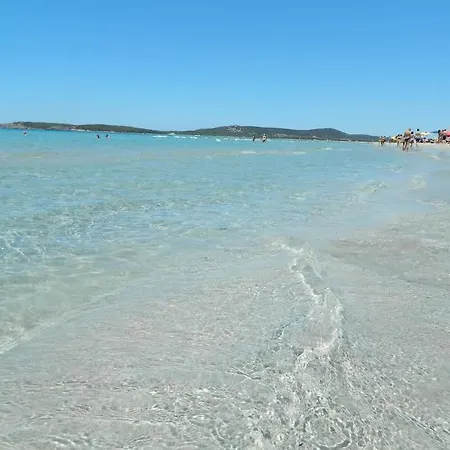 Апартаменты Appartamente Moderno E Accessoriato.